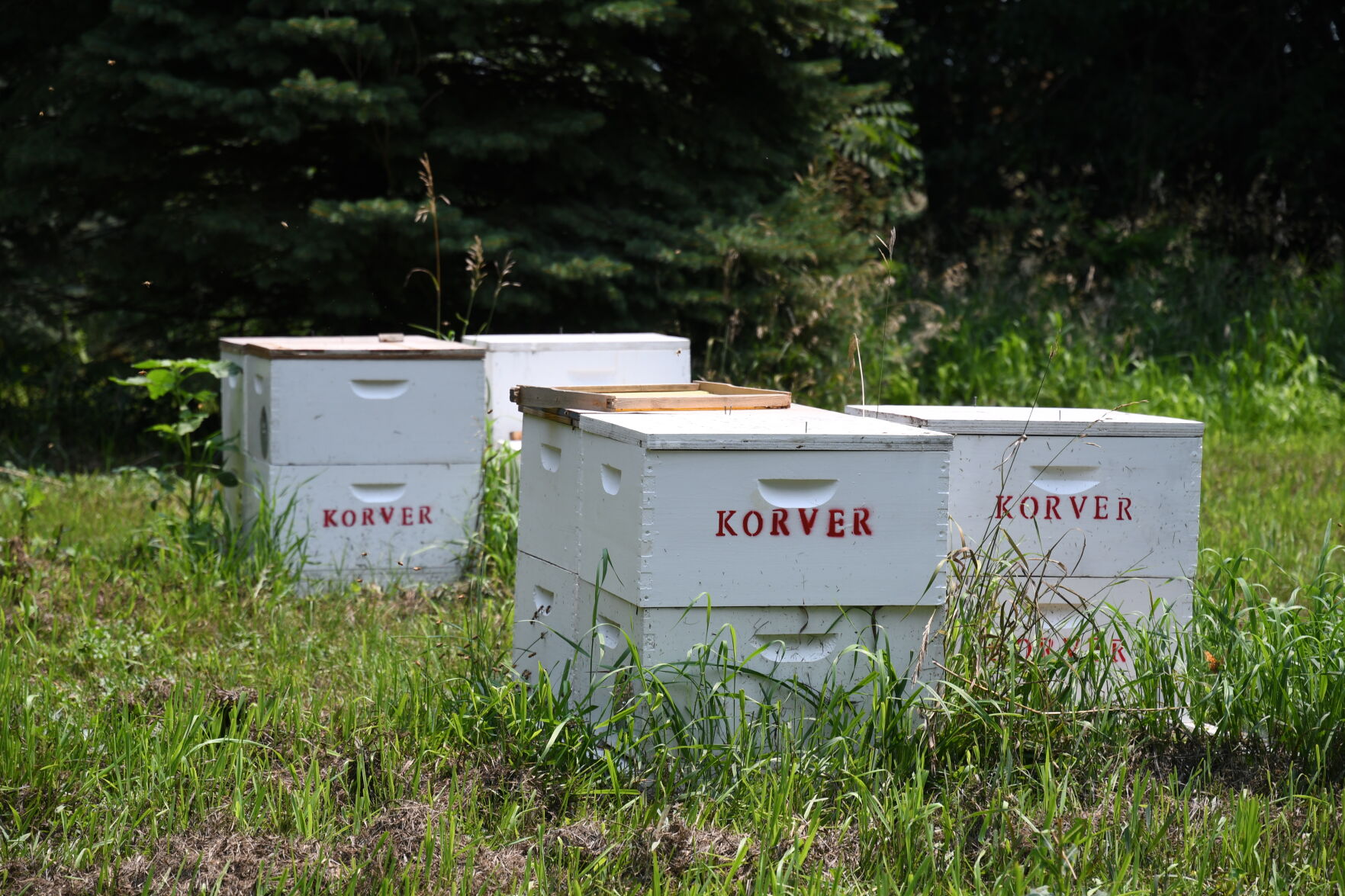 Walnut Grove Honey Hives in Maurice